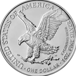 American Eagle Typ 2- 1 Oz Silber verschiede Jahrgänge*