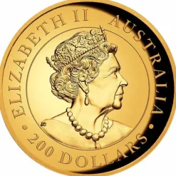 Australien Kangaroo 2 Oz Gold High Relief 2020 + Box + COA