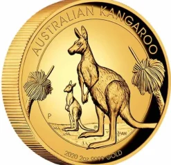 Australien Kangaroo 2 Oz Gold High Relief 2020 + Box + COA