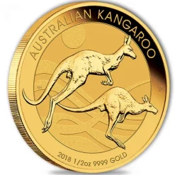 Australien Känguru 1/2 Oz Gold 2018