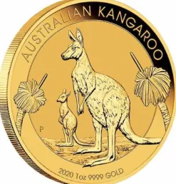 Australien Känguru 1 Oz Gold 2020