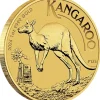 Australien Känguru 1 Oz Gold 2024