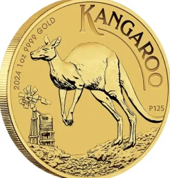 Australien Känguru 1 Oz Gold 2024