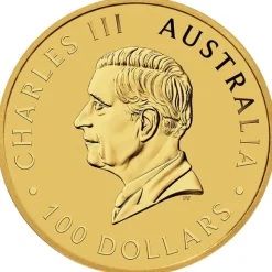 Australien Känguru 1 Oz Gold 2024