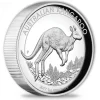 Australien Känguru 1 Oz Silber 2017 High Relief *