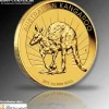 Australien Känguru 1 Unze Gold 2011