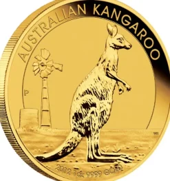 Australien Känguru 1 Unze Gold 2012