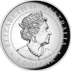 Australien Känguru 1 Unze Silber High Relief farbig 2022 + Box +COA*