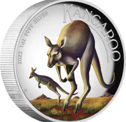 Australien Känguru 1 Unze Silber High Relief farbig 2022 + Box +COA*