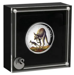 Australien Känguru 1 Unze Silber High Relief farbig 2022 + Box +COA*