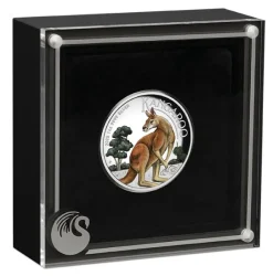 Australien Känguru 1 Unze Silber High Relief farbig 2023 + Box +COA*