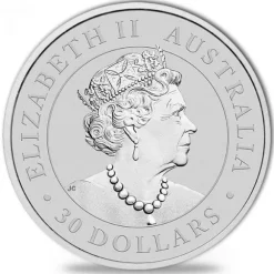 Australien Koala 1 KG Silber 2019*