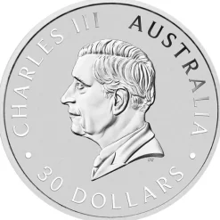 Australien Koala 2025 1 Kg Silber
