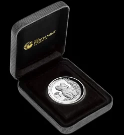 Australien Koala 1 Oz Silber High Relief 2017*