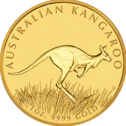 Australien Nugget / Känguru 1 Oz Gold 2008