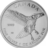 Birds of Prey - Bussard 1 Oz Silber 2015*