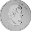 Birds of Prey - Eule - 1 Oz Silber 2015 *