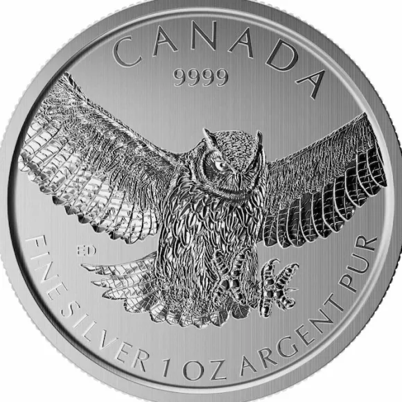 Birds of Prey - Eule - 1 Oz Silber 2015 *