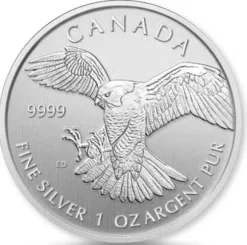 Birds of Prey - Falcon - 1 Oz Silber 2014 *