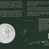 Brisbane - Koala 1 Oz Silber farbig 2026 - Money Expo ANDA Special