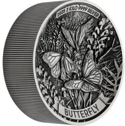 Butterfly 2 KG Silber Antik Finish 2025 +Box +COA