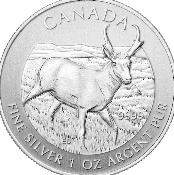 Canada Wildlife - Antilope - 1 Oz Silber 2013*