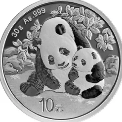 China Panda 30 Gramm Silber 2024*