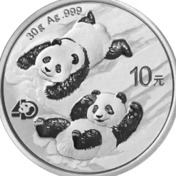 China Panda 30 Gramm Silber 2022*