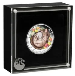 Dreaming Down Under - Kangaroo - 1/2 Unze Silber 2021 Proof + Box + COA*