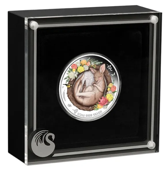 Dreaming Down Under - Kangaroo - 1/2 Unze Silber 2021 Proof + Box + COA*