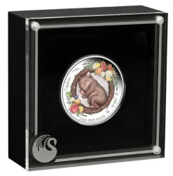 Dreaming Down Under - Wombat - 1/2 Oz Silber Proof +Box +COA*