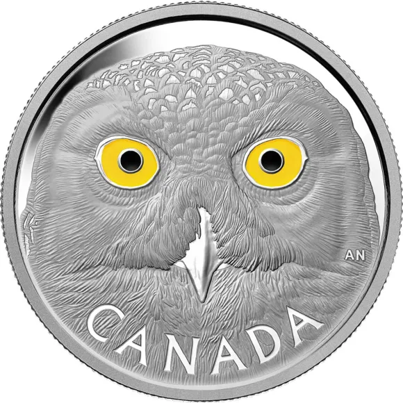 Eyes of the Snowy Owl 1 KG Silber Proof 2014 +Box +Zertifikat*