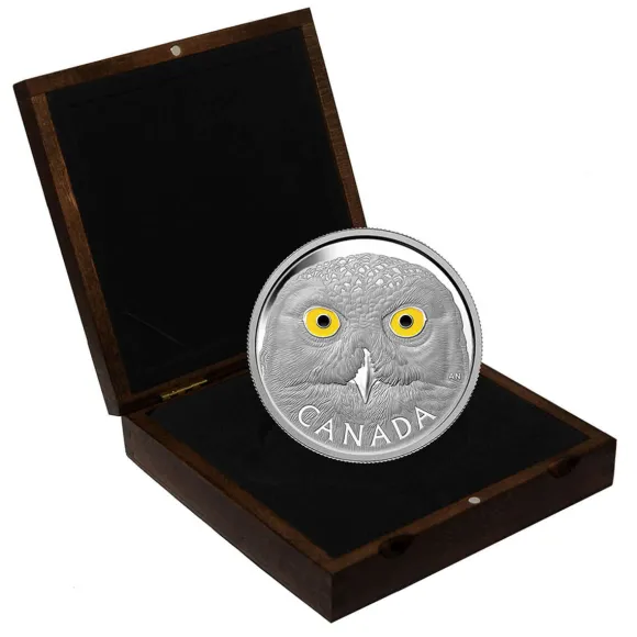 Eyes of the Snowy Owl 1 KG Silber Proof 2014 +Box +Zertifikat*