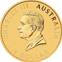 Hobart ANDA Money Expo Special 40 Jahre Australien Nugget 1 Oz Silber 2026 vergoldet Proof*