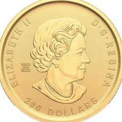 Klondike Gold Rush - Passage for Gold - 1 Unze Gold 2023