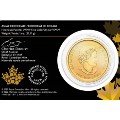 Klondike Goldrush - Prospecting for Gold - 1 Oz Gold 2022