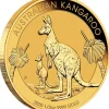 Känguru 1/2 Oz Gold 2020