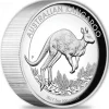 Känguru 5 Oz Silber High Relief 2017 + Box +COA*