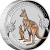 Känguru 1 Oz Silber High Relief farbig 2020 +Box +COA*