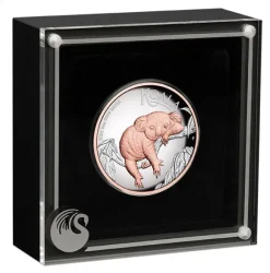 Koala 5 Oz Silber vergoldet 2022 + Box + Zertifikat*