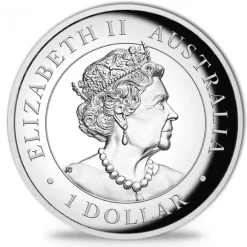 Kookaburra 1 Oz Silber High Relief 2019 +Box +COA*