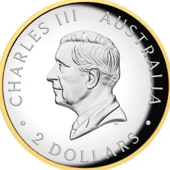Kookaburra 2 Oz Silber Proof Gilded High Relief 2025