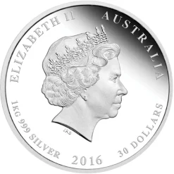 Lunar II Affe 1 KG Silber Proof 2016 + Box + CoA*