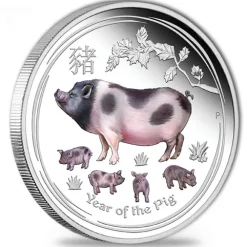 Lunar II - Schwein - 1 Oz Silber Proof farbig 2019 +Box +COA*