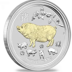 Lunar II Schwein Typeset Silber 2019 +Box +COA*