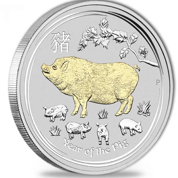 Lunar II Schwein Typeset Silber 2019 +Box +COA*