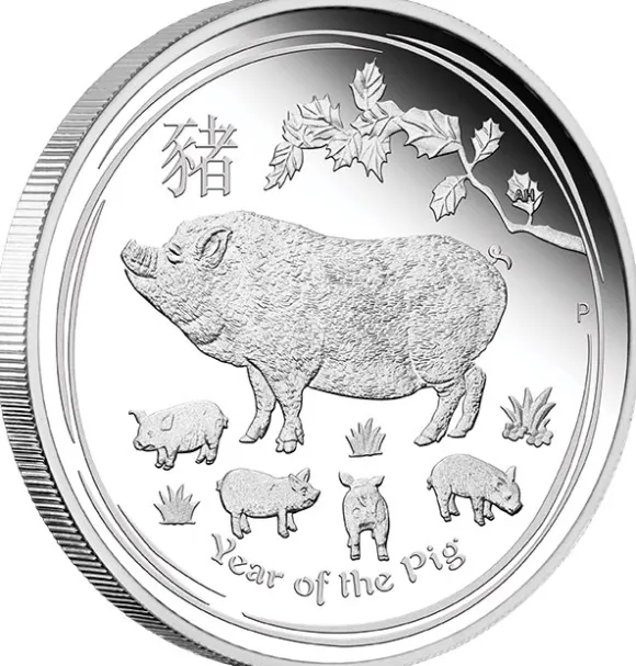 Lunar II Schwein Typeset Silber 2019 +Box +COA*