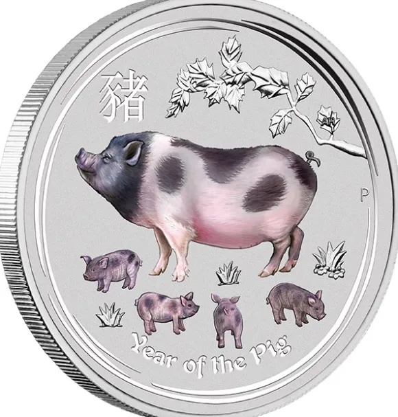 Lunar II Schwein Typeset Silber 2019 +Box +COA*