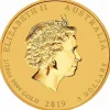 Lunar II - Schwein - 1/20 Unze Gold farbig 2019