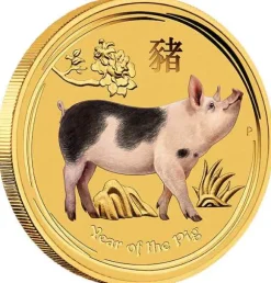 Lunar II - Schwein - 1/20 Unze Gold farbig 2019